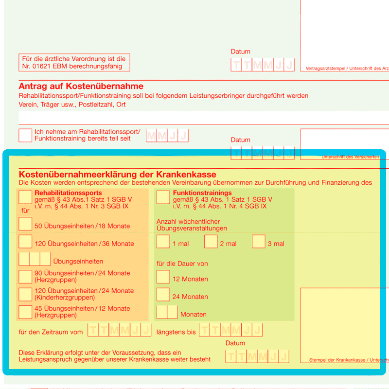Rehasportverordnung: Alles, was Sie zum Muster 56 wissen müssen ...